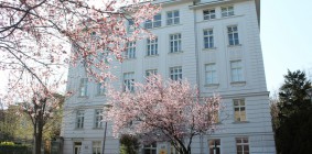 Amadeus International School Vienna (11-16 éves korig)